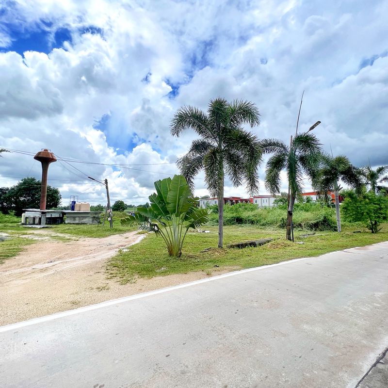ขายที่ดินปลวกแดง ขายที่ดินมาบยางพร ขายที่ดินอมตะซิตี้